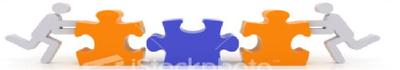 Steering Committee banner image. 