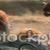 Steering Committee banner image 2. 
