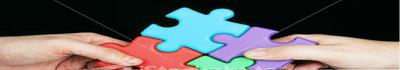 Steering Committee banner image 4. 