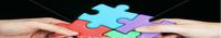 Steering Committee banner image 4. 